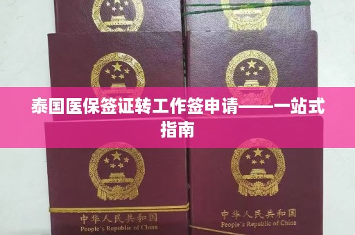 泰国医保签证转工作签申请——一站式指南  第1张