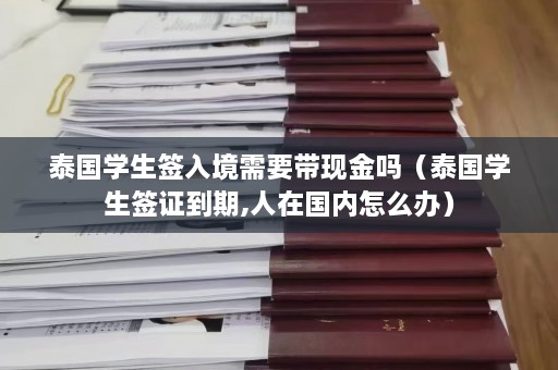 泰国学生签入境需要带现金吗（泰国学生签证到期,人在国内怎么办）