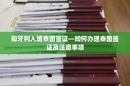 匈牙利入境泰国签证—如何办理泰国签证及注意事项  第1张