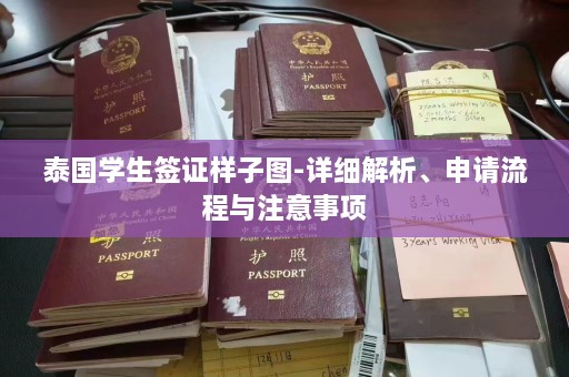 泰国学生签证样子图-详细解析、申请流程与注意事项  第1张