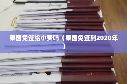 泰国免签给小费吗（泰国免签到2020年）  第1张