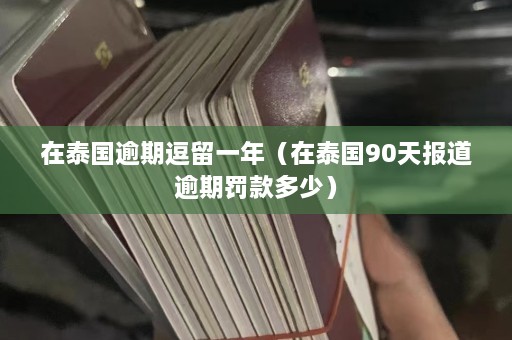 在泰国逾期逗留一年（在泰国90天报道逾期罚款多少）  第1张