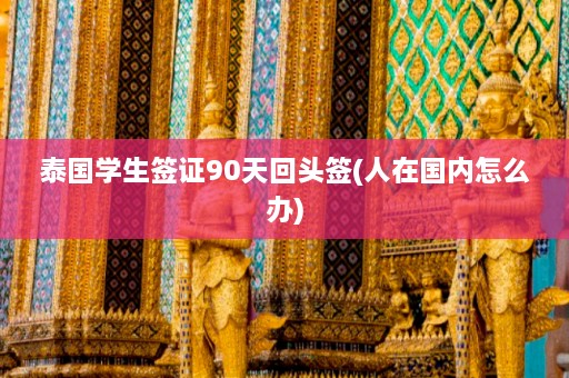 泰国学生签证90天回头签(人在国内怎么办)  第1张