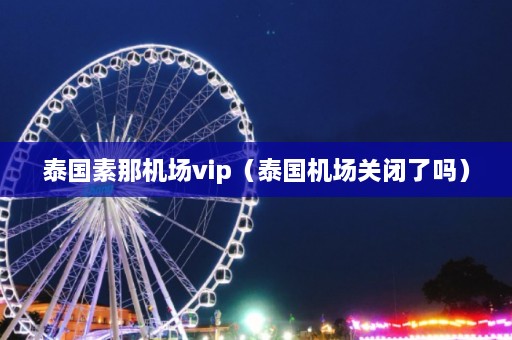 泰国素那机场vip（泰国机场关闭了吗）  第1张