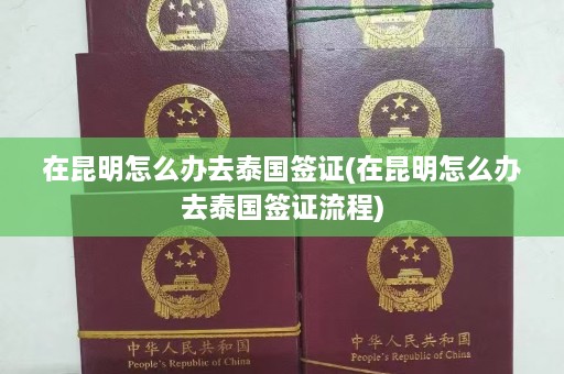 在昆明怎么办去泰国签证(在昆明怎么办去泰国签证流程)  第1张