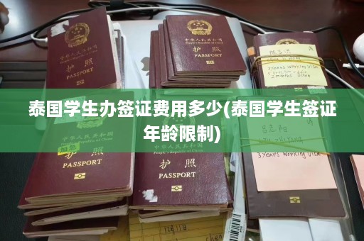 泰国学生办签证费用多少(泰国学生签证年龄限制)  第1张