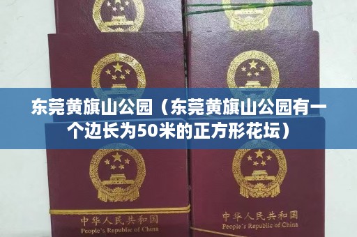 东莞黄旗山公园（东莞黄旗山公园有一个边长为50米的正方形花坛）