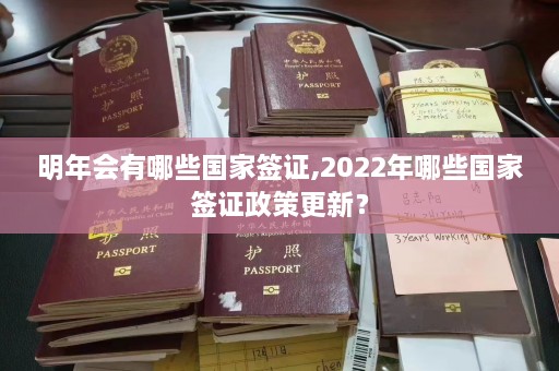 明年会有哪些国家签证,2022年哪些国家签证政策更新？  第1张