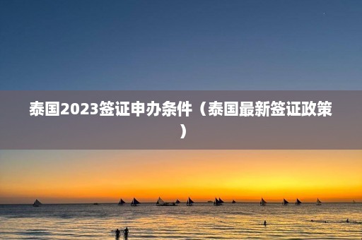 泰国2023签证申办条件（泰国最新签证政策）