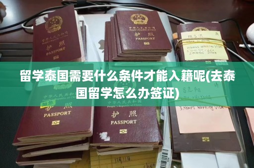 留学泰国需要什么条件才能入籍呢(去泰国留学怎么办签证)