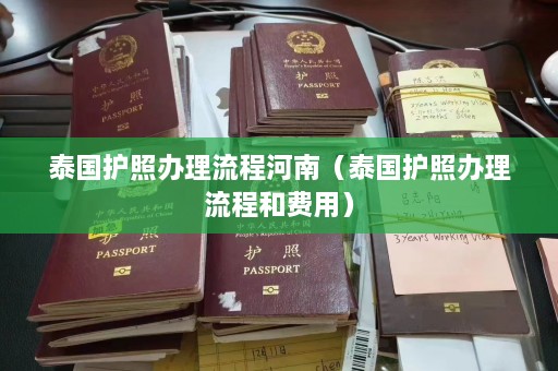 泰国护照办理流程河南（泰国护照办理流程和费用）  第1张