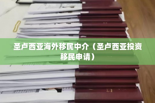 圣卢西亚海外移民中介（圣卢西亚投资移民申请）  第1张