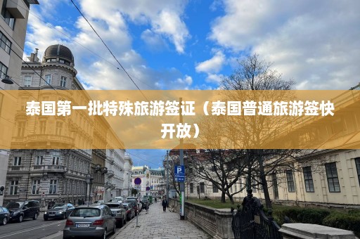 泰国第一批特殊旅游签证（泰国普通旅游签快开放）