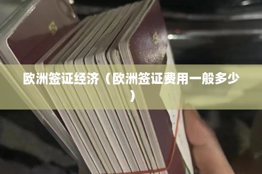 欧洲签证经济（欧洲签证费用一般多少）  第1张