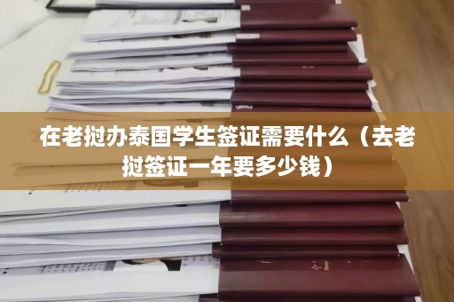 在老挝办泰国学生签证需要什么（去老挝签证一年要多少钱）  第1张