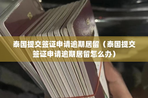 泰国提交签证申请逾期居留（泰国提交签证申请逾期居留怎么办）  第1张