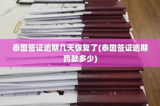 泰国签证逾期几天恢复了(泰国签证逾期罚款多少)  第1张