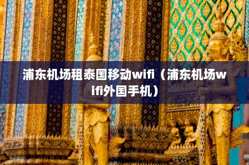 浦东机场租泰国移动wifi（浦东机场wifi外国手机）  第1张