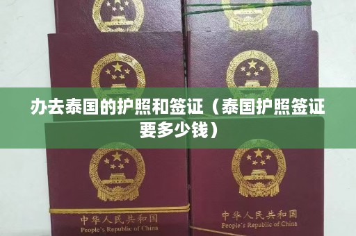 办去泰国的护照和签证（泰国护照签证要多少钱）