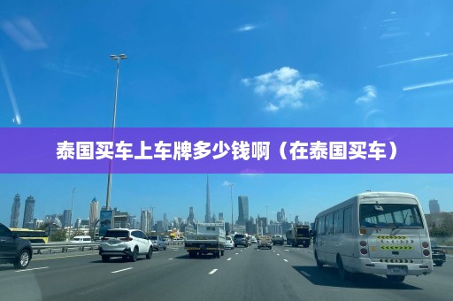 泰国买车上车牌多少钱啊（在泰国买车）