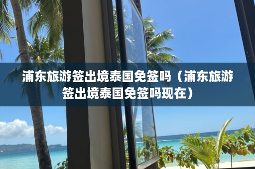 浦东旅游签出境泰国免签吗（浦东旅游签出境泰国免签吗现在）  第1张