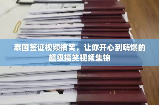 泰国签证视频搞笑，让你开心到嗨爆的超级搞笑视频集锦