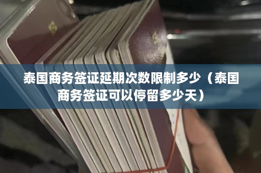 泰国商务签证延期次数限制多少（泰国商务签证可以停留多少天）  第1张