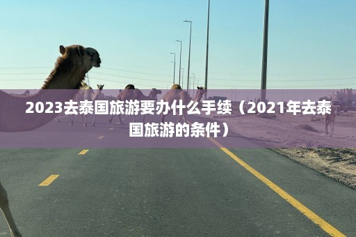 2023去泰国旅游要办什么手续（2021年去泰国旅游的条件）