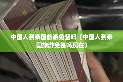 中国人到泰国旅游免签吗（中国人到泰国旅游免签吗现在）  第1张