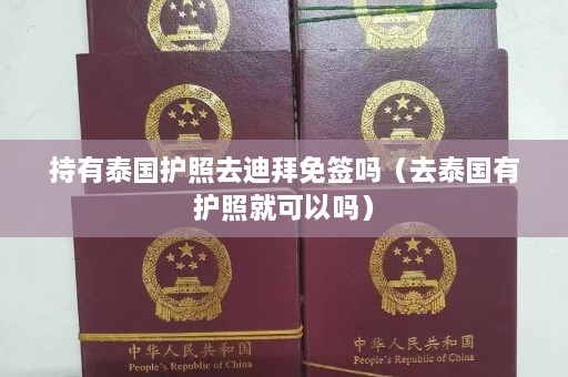 持有泰国护照去迪拜免签吗（去泰国有护照就可以吗）  第1张