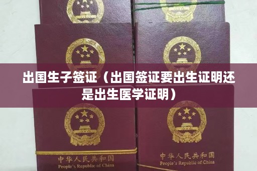 出国生子签证（出国签证要出生证明还是出生医学证明）