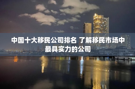 中国十大移民公司排名 了解移民市场中最具实力的公司