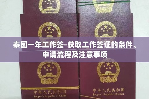 泰国一年工作签-获取工作签证的条件、申请流程及注意事项  第1张