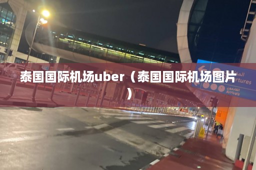 泰国国际机场uber（泰国国际机场图片）  第1张