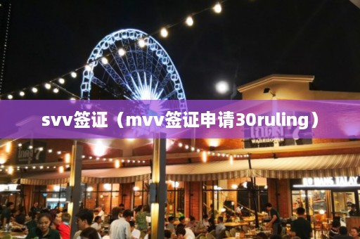 svv签证（mvv签证申请30ruling）  第1张