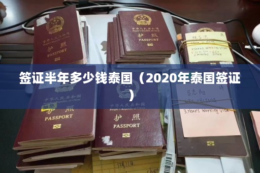 签证半年多少钱泰国（2020年泰国签证）  第1张