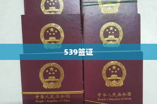 539签证  第1张