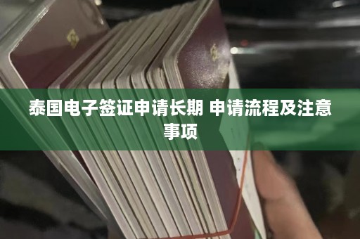 泰国电子签证申请长期 申请流程及注意事项