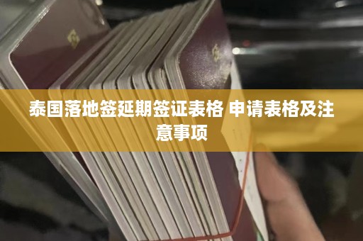 泰国落地签延期签证表格 申请表格及注意事项