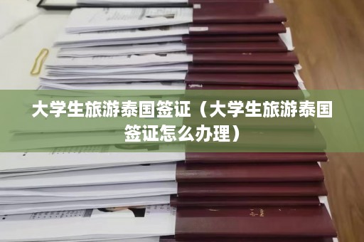 大学生旅游泰国签证（大学生旅游泰国签证怎么办理）  第1张