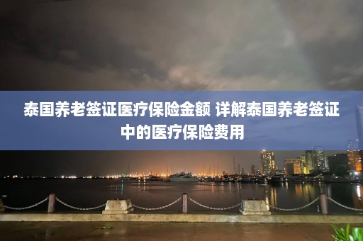 泰国养老签证医疗保险金额 详解泰国养老签证中的医疗保险费用