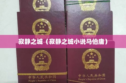 寂静之城（寂静之城小说马伯庸）  第1张