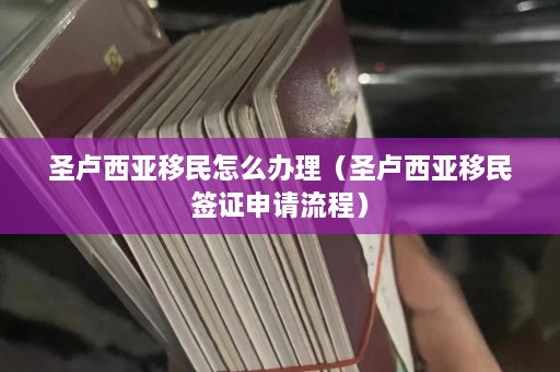 圣卢西亚移民怎么办理（圣卢西亚移民签证申请流程）  第1张