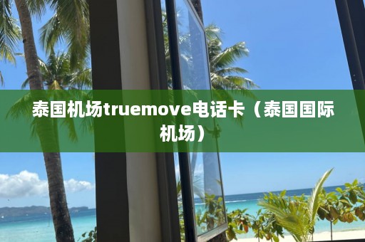 泰国机场truemove *** 卡（泰国国际机场）  第1张