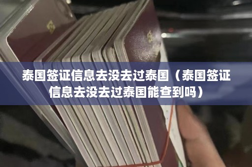 泰国签证信息去没去过泰国（泰国签证信息去没去过泰国能查到吗）  第1张