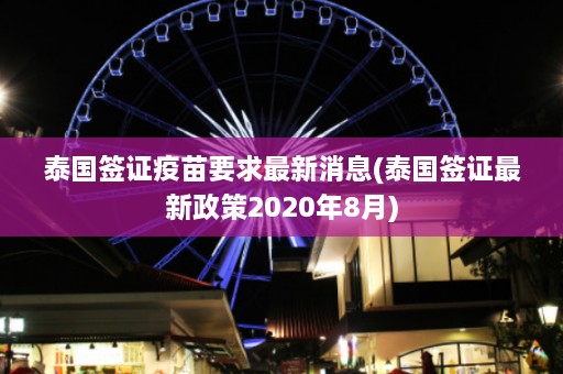 泰国签证疫苗要求最新消息(泰国签证最新政策2020年8月)  第1张