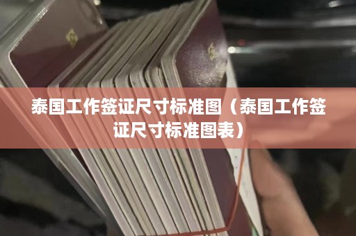 泰国工作签证尺寸标准图（泰国工作签证尺寸标准图表）  第1张