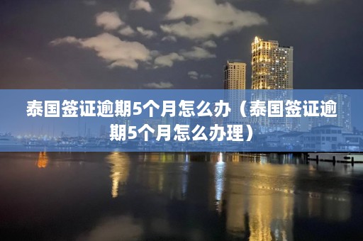 泰国签证逾期5个月怎么办（泰国签证逾期5个月怎么办理）  第1张