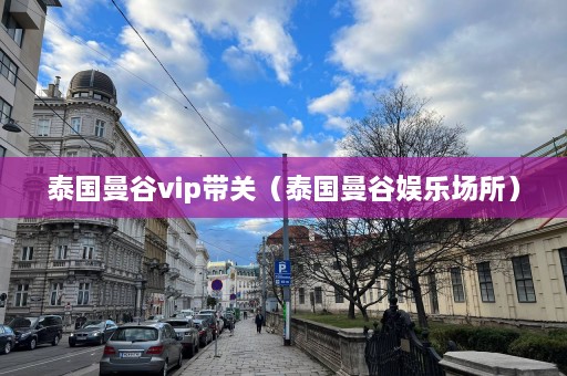 泰国曼谷vip带关（泰国曼谷娱乐场所）  第1张