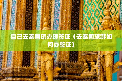 自己去泰国玩办理签证（去泰国旅游如何办签证）  第1张